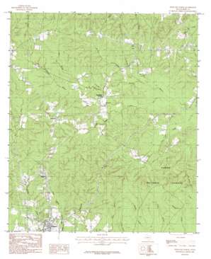 Pineland South USGS topographic map 31093c8