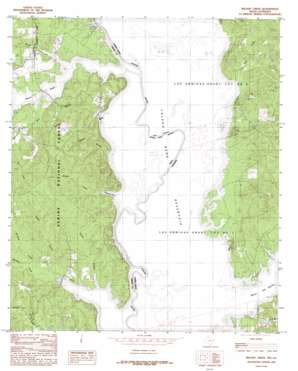 Brushy Creek USGS topographic map 31093f7
