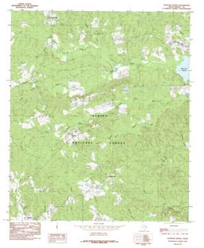 Brushy Creek USGS topographic map 31093f8