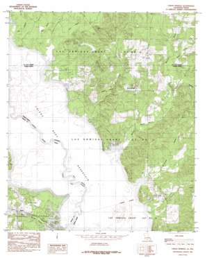 Union Springs topo map