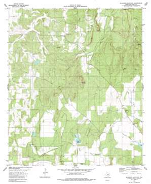 Blucher%20Mountain USGS topographic map 31098c7