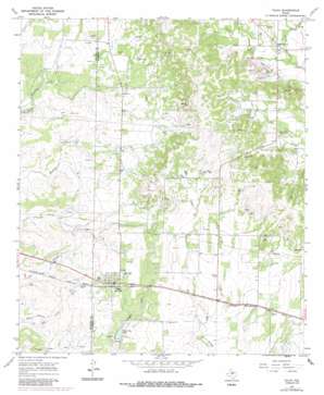 Talpa USGS topographic map 31099g6