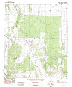 Pecan Station USGS topographic map 31100c4