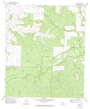 Arden USGS topographic map 31100d7