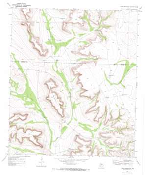 Lone Mountain USGS topographic map 31101a6