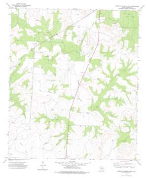 Dripping Springs Draw topo map