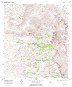 Apache Peak USGS topographic map 31104d8
