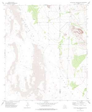 Bitter Well Mountain NW USGS topographic map 31104f8