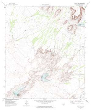 Cavett Lake USGS topographic map 31105d7
