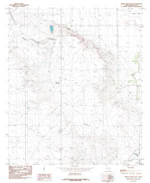 Mickey Draw East USGS topographic map 31105g2