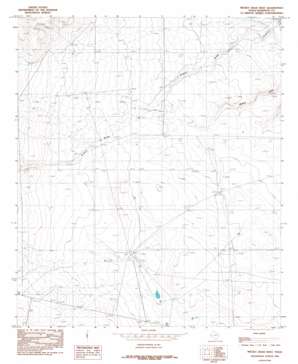 Mickey Draw West USGS topographic map 31105g3