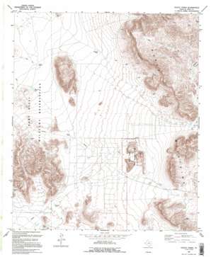 Hueco Tanks USGS topographic map 31106h1