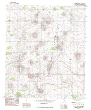 Potrillo Peak USGS topographic map 31107h2