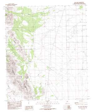 Hilo Peak USGS topographic map 31108d5