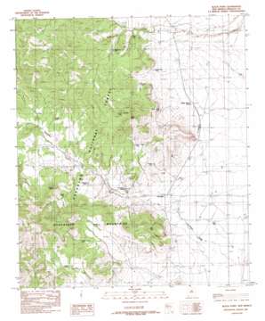 Black Point USGS topographic map 31108d8