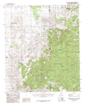 Chiricahua Peak USGS topographic map 31109e1