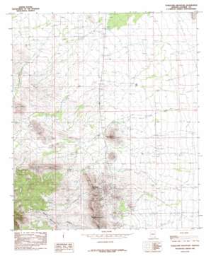 Turquoise Mountain USGS topographic map 31109g7