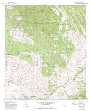 Patagonia USGS topographic map 31110e7