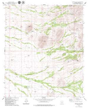 Penitas Hills USGS topographic map 31111g3