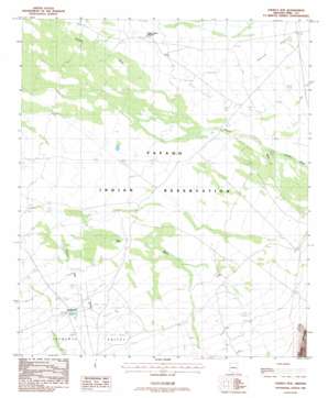 Chukut Kuk USGS topographic map 31112g1