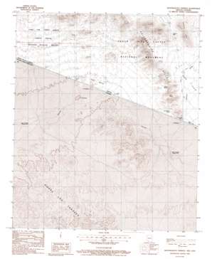 Quitobaquito Springs USGS topographic map 31113h1