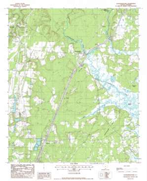 Coosawhatchie topo map