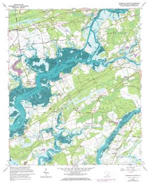 Wadmalaw Island USGS topographic map 32080f2