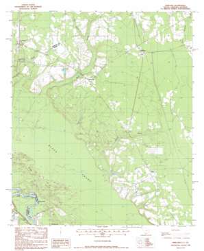 Pineland USGS topographic map 32081e2