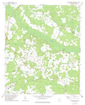 Neyles USGS topographic map 32081g5