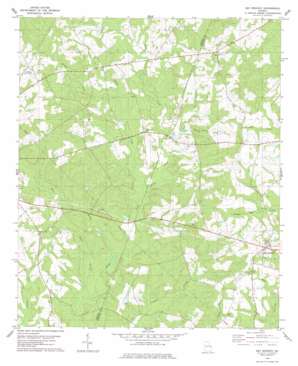 Bay Branch USGS topographic map 32081g7
