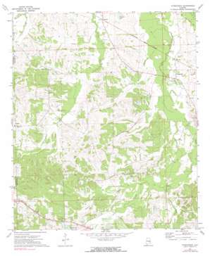 Fitzpatrick USGS topographic map 32085b8