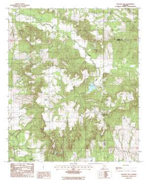 Pleasant Hill USGS topographic map 32086b8