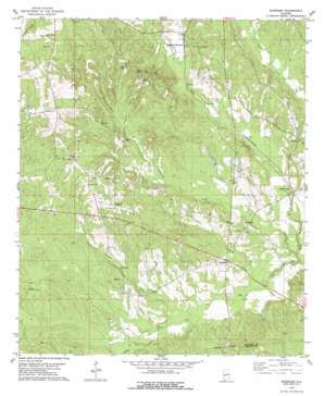 Surginer USGS topographic map 32087a6