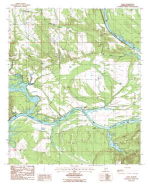 Tasso USGS topographic map 32087b2