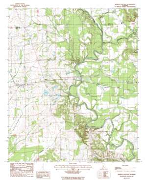 Marion Junction topo map