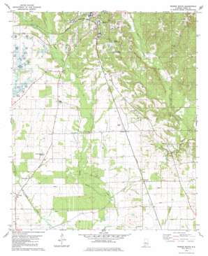 Marion South topo map