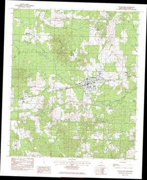 Pelahatchie USGS topographic map 32089c7
