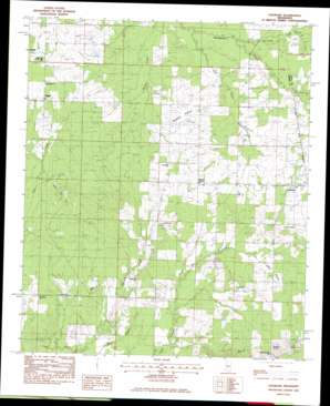 Leesburg USGS topographic map 32089d7