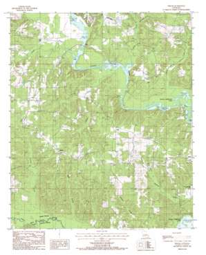 Shiloh USGS topographic map 32092g5