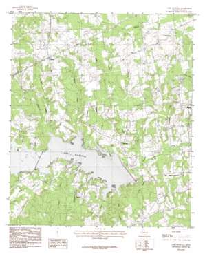Lake Murvaul USGS topographic map 32094a4