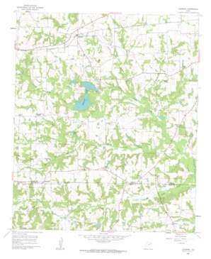 Leesburg USGS topographic map 32095h1