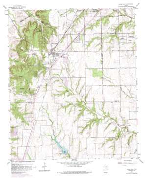 Cedar Hill USGS topographic map 32096e8