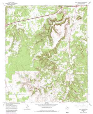 Bear Mountain USGS topographic map 32098d5