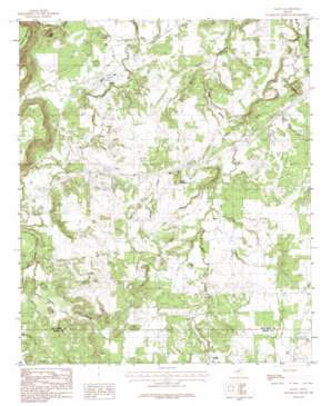 Santo USGS topographic map 32098e2