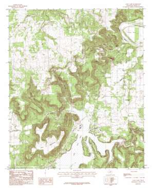 Lone Camp USGS topographic map 32098f3