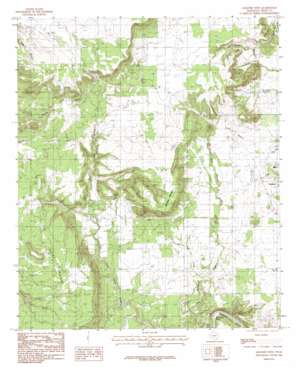 Graford West USGS topographic map 32098h3
