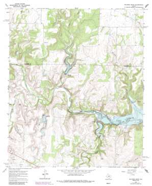 McEwen Draw USGS topographic map 32099a5