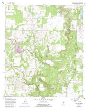 Cub Hollow USGS topographic map 32099c4