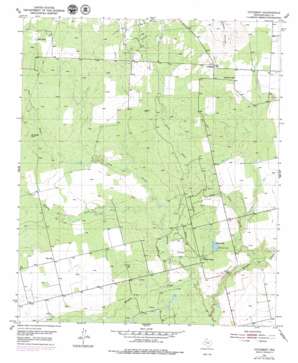 Cuthbert USGS topographic map 32101d1