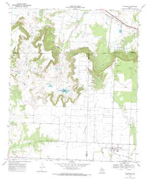 Fluvanna USGS topographic map 32101h2